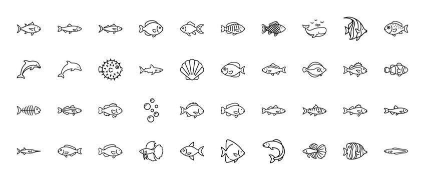 Marine life and sea creatures line icon set. Vector pictograms of various fish, whale, dolphin, shark, pufferfish, angelfish, scallop, and fish skeleton, thin linear illustration.