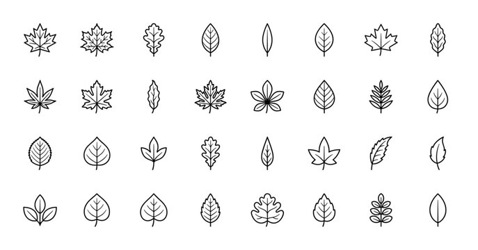 Nature line icon set. Vector pictograms of diverse plant leaves including maple and oak shapes, thin linear illustration.