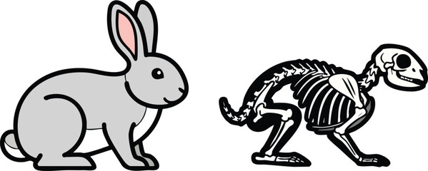 Obraz premium Rabbit Anatomy Illustration A Comparative View of External and Skeletal Structure