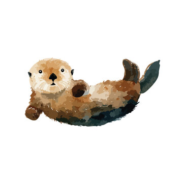 Cute Sea Otter Illustration Floating on Back.