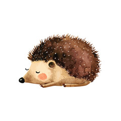 Cute Sleeping Hedgehog Watercolor Illustration.