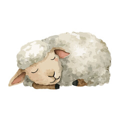 Cute Sleeping Sheep Watercolor Illustration.