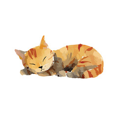 Cute Sleeping Watercolor Cat Illustration.