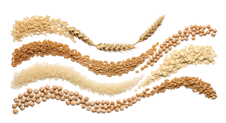Grains seeds and legumes healthy food background agriculture on transparent background