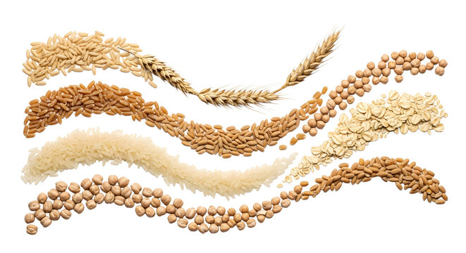 Grains seeds and legumes healthy food background agriculture on transparent background