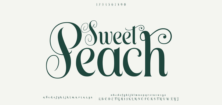 Elegant font alphabet uppercase lowercase and number. Classic lettering minimal fashion designs. Typography modern serif fonts regular decorative vintage concept. Vector illustration
