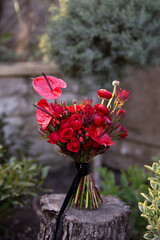 Elegant Red Bouquet With Anthuriums and Roses on Tree Stump Outdoors