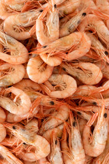 Close-up of cooked shrimp and prawns vertical seafood texture