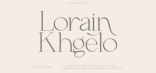 Elegant luxury alphabet letters font and number. Classic Lettering Minimal Fashion Designs. Typography fonts regular uppercase and lowercase. vector illustration