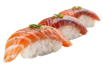 Traditional Japanese Nigiri Sushi