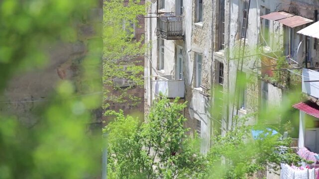 Point of view shot from vehicle driving along winding asphalt road through green forest mountains. Passing oncoming traffic on sunny day with clear blue sky.

