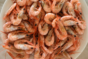 Top View of a Boiled Shrimps on Plate, recipe Seafood Dish tipical for christmas dinner in Spain
