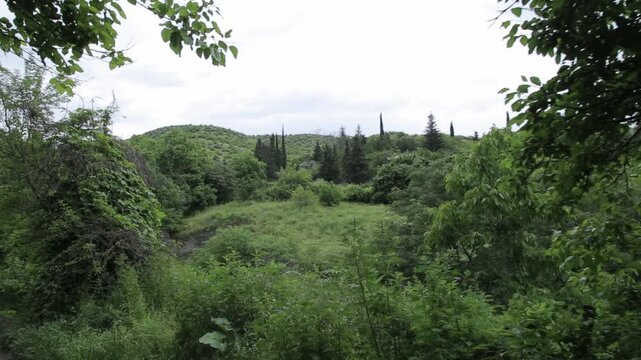 Point of view shot from vehicle driving along winding asphalt road through green forest mountains. Passing oncoming traffic on sunny day with clear blue sky.

