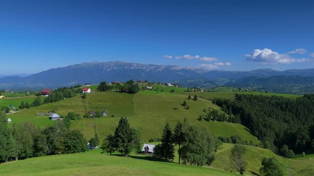 Panoramic aerial ascent over rolling green hills with Bucegi Mountains ridge under a clear summer sky, aerial footage in Transylvania, Romania, stunning scene ideal for eco tourism, countryside travel