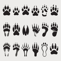 Collection of diverse animal paw prints and foot tracks, a vector illustration set showcasing various wild and domestic animal footprints