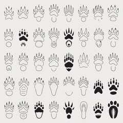 Collection of diverse animal paw prints and foot tracks, a vector illustration set showcasing various wild and domestic animal footprints