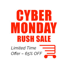 Cyber Monday Limited Time Rush Sale Promotion