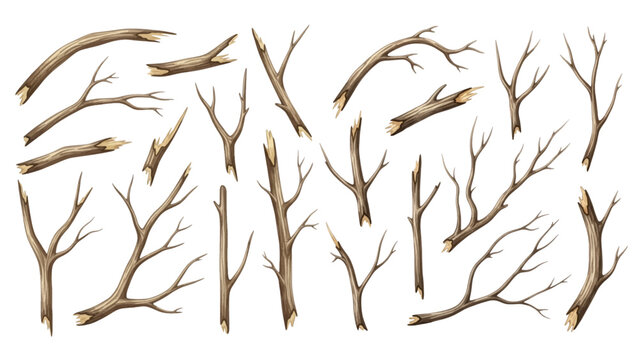 A collection of realistic dry tree branches, twigs, and sticks of various shapes and sizes isolated on a transparent background.