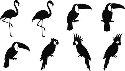 Obraz premium Silhouette of various birds including a flamingo, toucan, and cockatoo