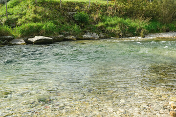 Stunning Mountain River Landscape and Forest View