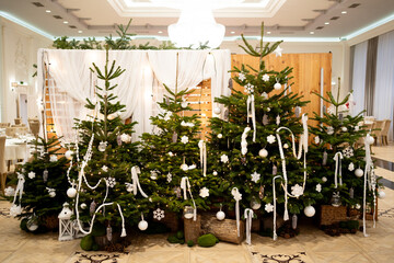 Beautiful Indoor Christmas Forest Setup With Decorated Trees and White Ornaments