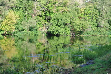 Obraz premium Wide Summer Landscape of Green Forest Reflected in Calm Water Surface of Lake or River