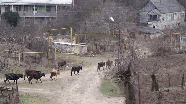 View from a moving vehicle showing a lake with a water tower in rainy weather and a winding mountain road with a sharp turn warning sign.

