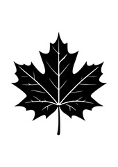 Maple Leaf Silhouette