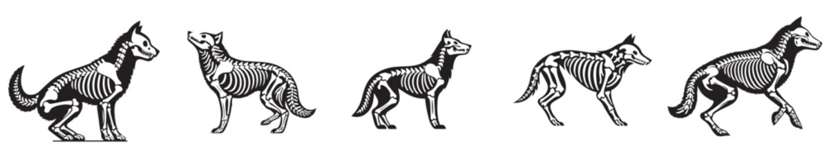 wolf silhouette bone skeleton vector