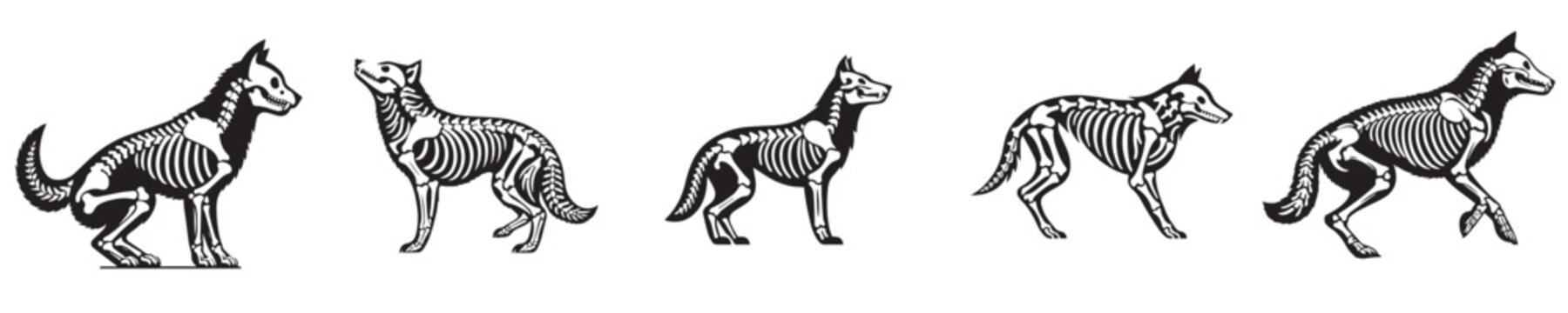 wolf silhouette bone skeleton vector