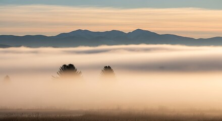 Sunrise Over a Foggy Mountain Valley