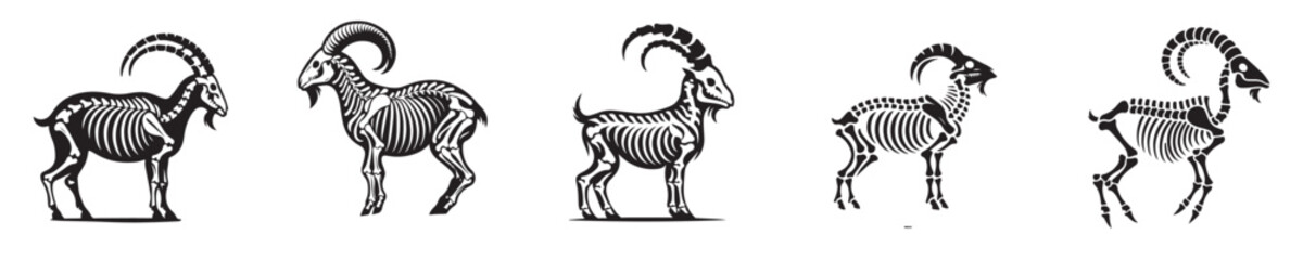 goat bone skeleton vector silhouette