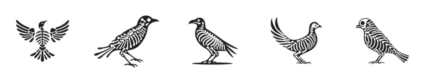 bird skeleton silhouette vector