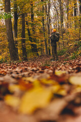 Fototapeta premium Person Hiking in Forest during Autumn Season