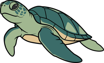 Cute sea turtle vector illustration ocean animal graphics for design