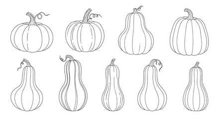 Hand-drawn line art illustrations featuring a variety of pumpkins and gourds, perfect for autumn harvest and holiday designs.