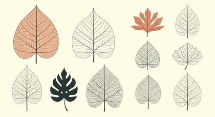 A diverse collection of stylized vector leaves in various shapes and venation patterns, presented on a light background.