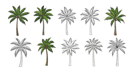 Various hand-drawn palm tree illustrations, some in color and some as black and white outlines, perfect for tropical designs.