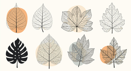 Abstract botanical illustration featuring a diverse collection of delicate leaf skeletons and a solid tropical monstera leaf on a light background.