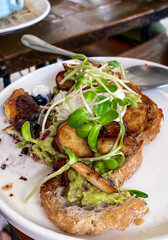 Gourmet grilled sourdough bread toast topped with creamy avocado, grilled mushrooms, and fresh sunflower sprouts.