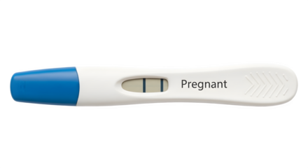 Positive Pregnancy Test Result Showing Two Lines and Word Pregnant.