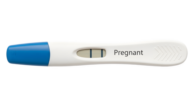 Positive Pregnancy Test Result Showing Two Lines and Word Pregnant.