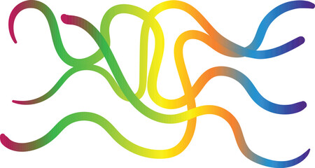 Colorful abstract illustration of intertwining wavy lines with gradient on white background
