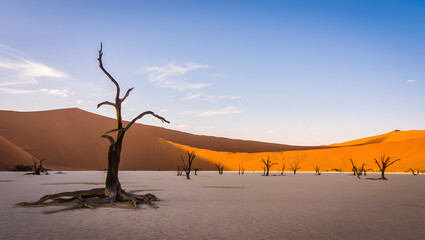 Deadvlei Classic View