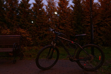 Fototapeta premium Black bicycle standing in the city street park on the road on the autumn scenery nature background with copy space near the bench. Full view object with nobody, no people