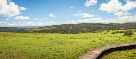 Fototapeta premium Beautiful scenery at Addo Elephant National Park, South Africa.