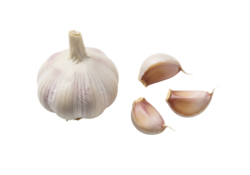 A whole unpeeled garlic bulb with pale purple hints and three fresh, firm cloves, arranged on a seamless transparent background with soft studio light, concept of healthy cooking ingredients