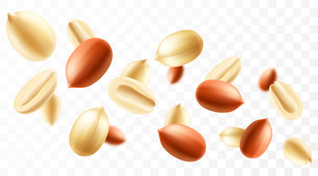Falling peanuts, isolated on transparent background, selective focus. Flying peanut with blurry effect. Can be used for advertising, packaging, banner, poster. Realistic 3d vector illustration