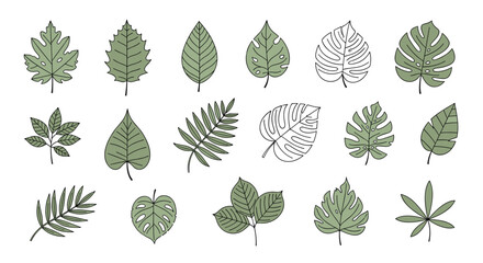 Naklejka premium Diverse collection of various leaves illustrated in doodle and line art styles a botanical set representing nature and plant life.