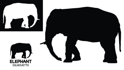 Elephant Silhouette icon. Simple vector illustration, Side view black big asian elephant silhouette vector illustration design on white and black background, Walking big elephant strong power, sign